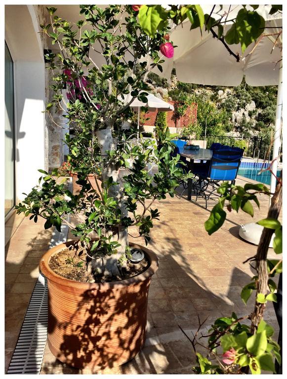 Villa Valo Kalkan Room photo